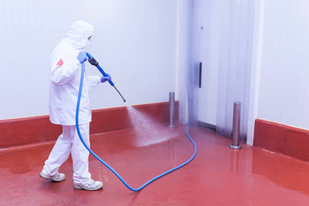 Boat and Dock Cleaning in Forest Hill, TX
